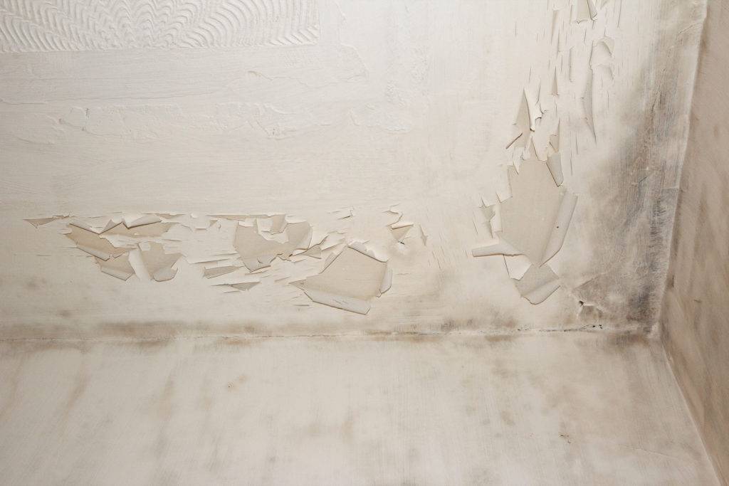 Discolouration from damaged plaster